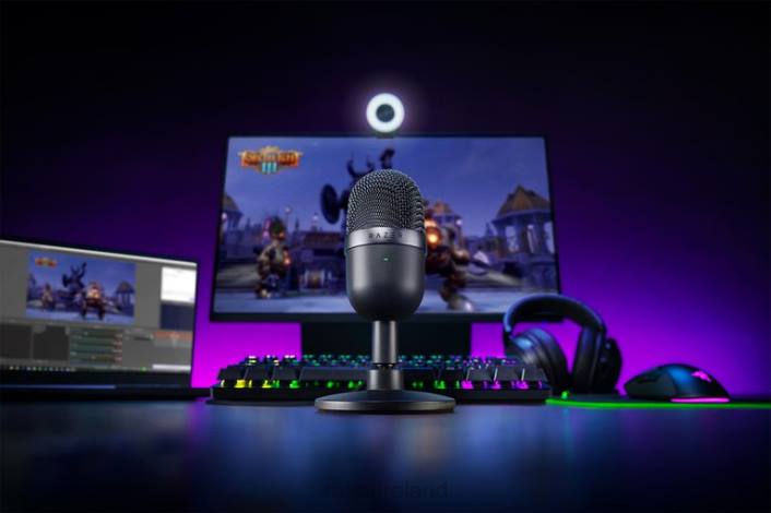 IE Razer Seiren Mini Black DDDP110 Content Creation